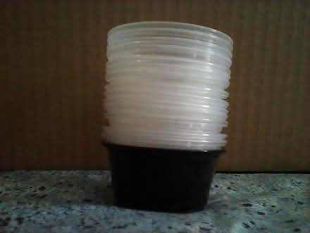 Photo of free Condiment cups, no lids (Kensington) #1