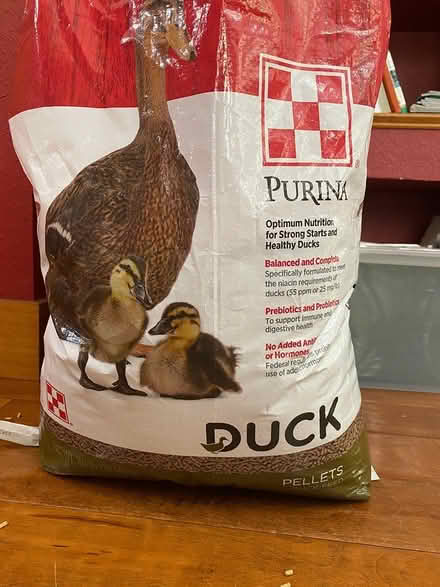 Photo of free Duck food (West Sanford) #1