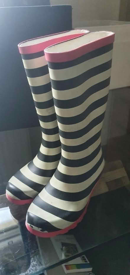 Photo of free Children's wellies - size 13 (Edinburgh EH4) #1