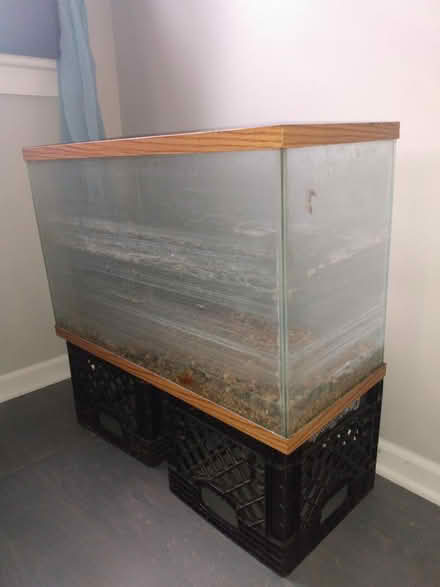 Photo of free Aquarium (Willy Street)