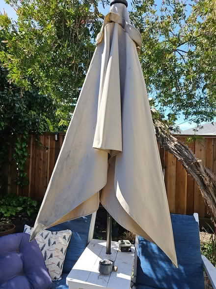 Photo of free Rectangle Outdoor Umbrella (Mt Eden, Hayward) #1