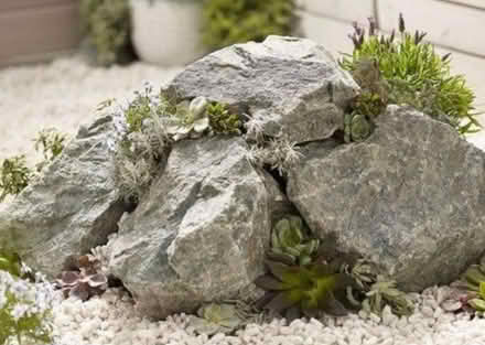 Photo of Rockery (Broseley) #1