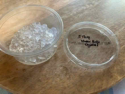 Photo of free Water Kefir crystals (Bratton BA13) #1