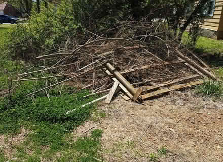 Photo of free Bonfire wood (Murfreesboro Downtown Square) #1