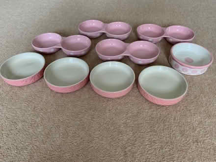 Photo of free Cat or small pet dishes Job Lot. (Longton PR4) #2