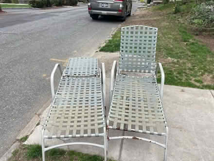 Photo of free 2 outdoor lounge chairs (white plains) #1