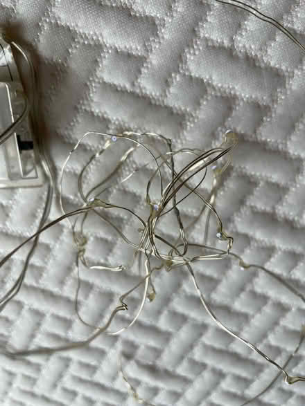 Photo of free Wire fairy lights (Bermondsey SE1) #1