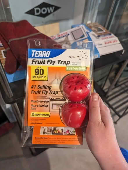 Photo of free Fruit fly trap & rodent repellent (Shell gas station, Hampton NJ) #1