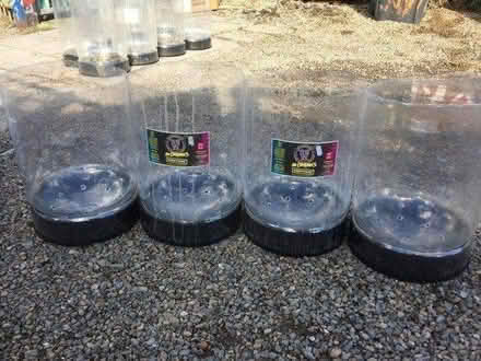 Photo of free Plastic beer kegs for upcycling (DH1) #4