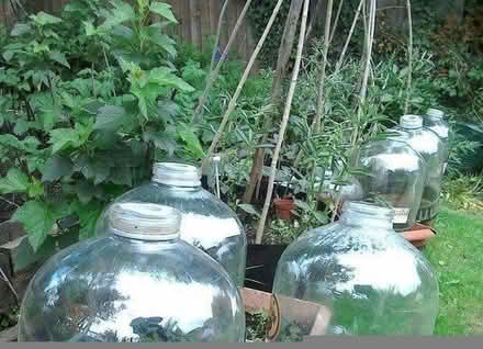 Photo of free Plastic beer kegs for upcycling (DH1) #4