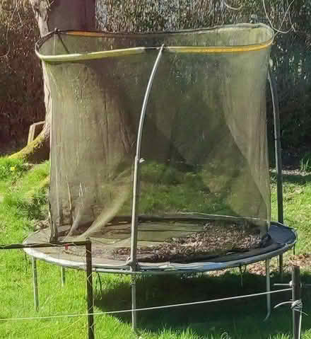 Photo of free 8ft trampoline (PA2) #1