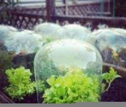 Photo of free Plastic beer kegs for upcycling (DH1) #2