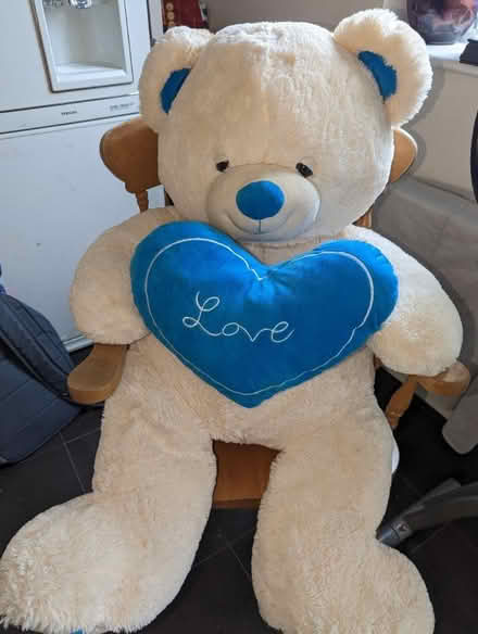 Photo of free Very large teddy (Buckton fields) #1