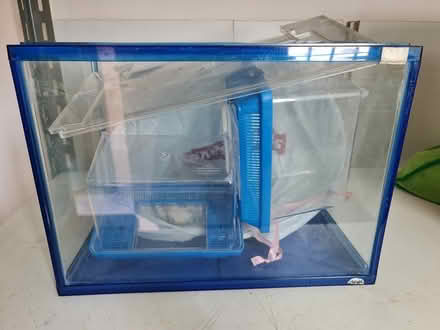 Photo of free WTG Fish Tank, Terrapin tank (Near Katong shopping centre) #1