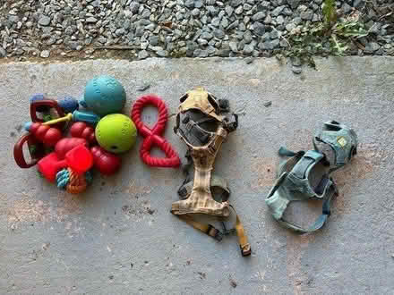 Photo of free Dog harnesses and toys (Whitehaven CA28 7) #1