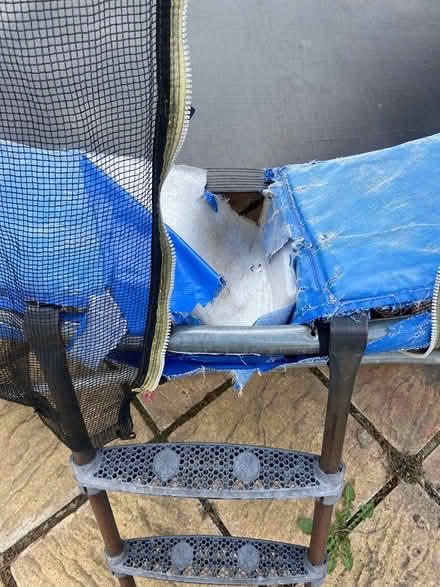 Photo of free Large trampoline (IG2) #2