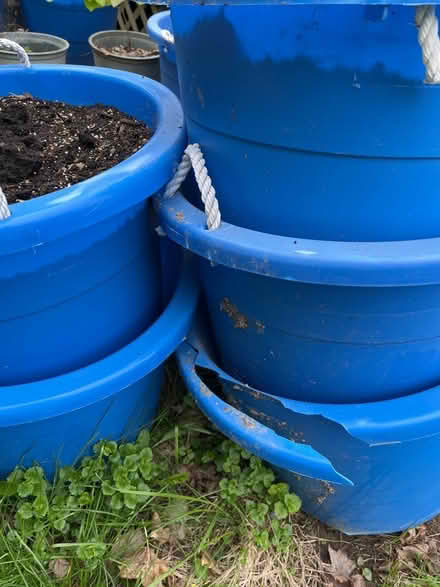 Photo of free Plastic planters/tubs with soil (Near IBM) #3