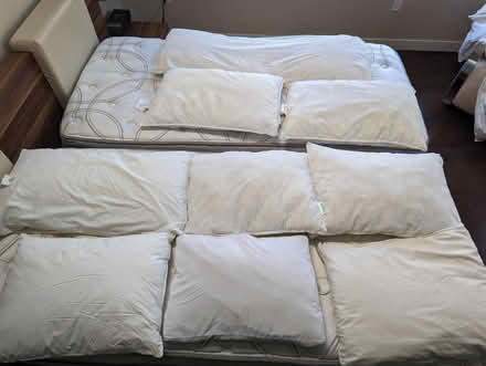 Photo of free Pillows (Off route 62) #1