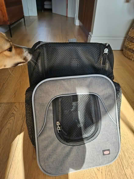 Photo of free Small dog/puppy carrier from Trixie (NW2, Willesden Green) #3