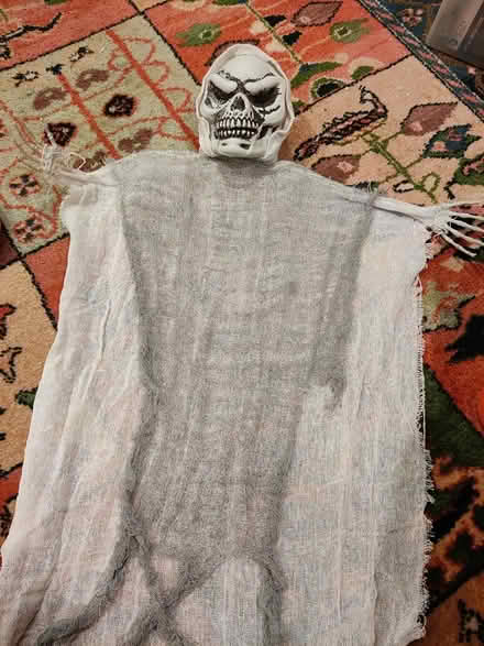 Photo of free Halloween Decorations (Acton) #4