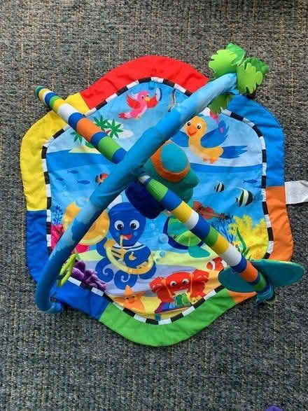Photo of free Baby jungle gym (Risinghurst OX3 8) #1