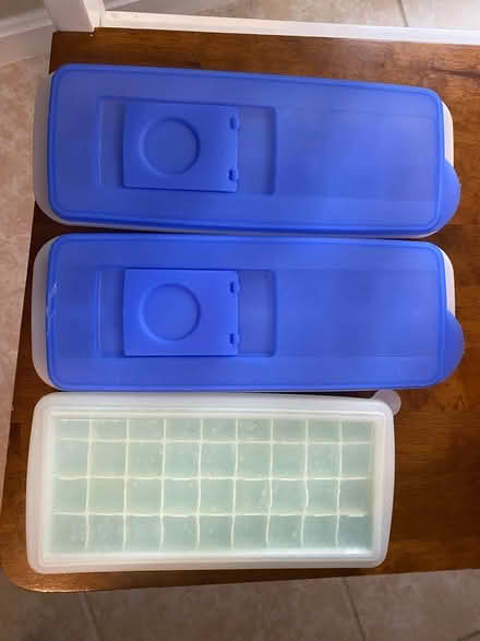 Photo of free Covered Ice Cube Trays (Winchester)