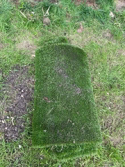 Photo of free Astro turf (Chigwell IG7) #1