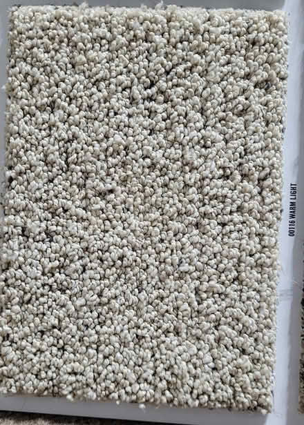 Photo of free New Carpet (Livermore) #1
