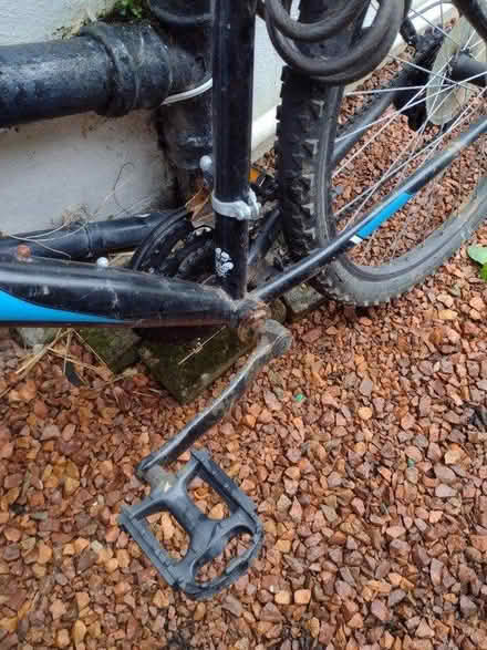Photo of free Adults bike (Kirkcaldy KY2) #1