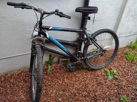 Photo of free Adults bike (Kirkcaldy KY2) #3