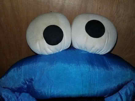 Photo of free Cookie Monster soft toy (Gloucester) #1