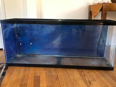 Photo of free Fish tank (Chevy Chase, DC) #1