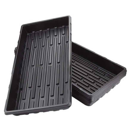 Photo of Seedling trays (Merville) #1