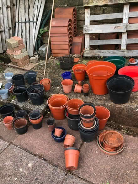 Photo of free Plant pots- various sizes (Chelston,Torquay) #1