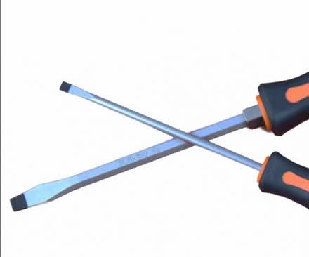 Photo of Screwdriver (Larkhall) #1