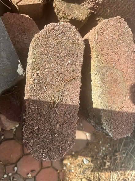 Photo of free red wall bricks (Holtsville) #1