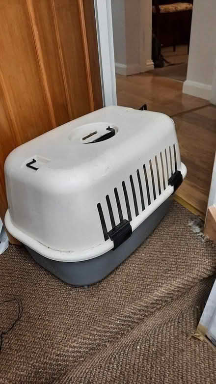Photo of free Pet container (cockermouth) #3
