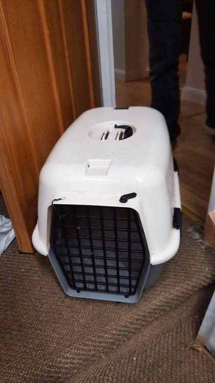 Photo of free Pet container (cockermouth) #2
