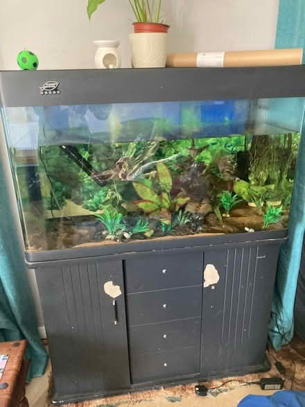 Photo of free tank & cabinet for plants/animals (Steeple, CM0) #1