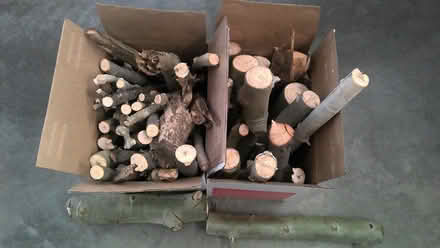 Photo of free Logs - great for fire pit (South of Kagy Blvd) #1