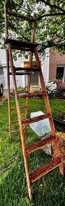 Photo of free Step/extension ladder (Near broad run lake- Sterling) #1