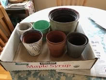Photo of free Planting Pots (Cupertino near De Anza College) #1