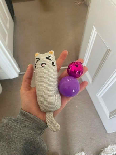 Photo of free Cat toys / balls / bells (SW12) #1
