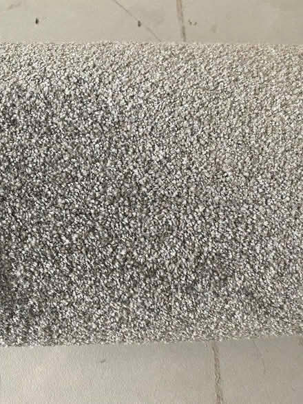 Photo of free Carpet (G20) #1