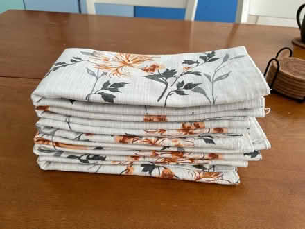 Photo of free Place mats (Kendall Sq) #1