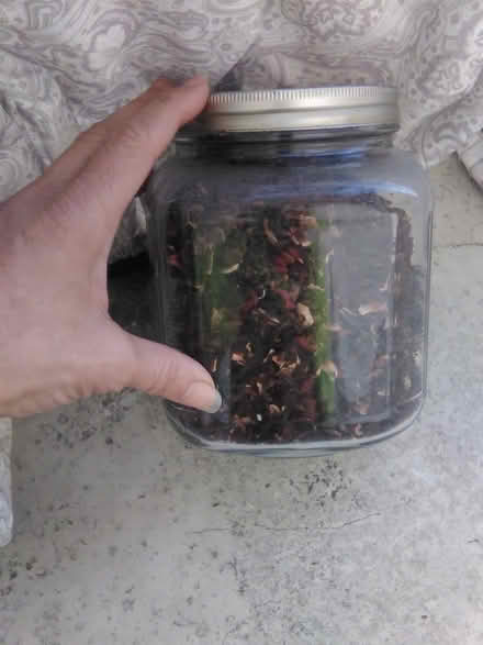 Photo of free Glass jar with fused lid (Burbank (near IKEA)) #1