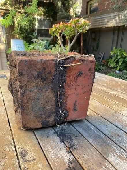 Photo of free Original red bricks (South Melbourne) #2