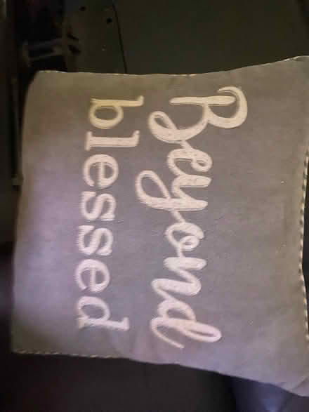 Photo of free Laundry mat, desk mat and pillow (Fort Myers fl) #1