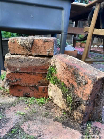 Photo of free Original red bricks (South Melbourne) #1