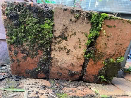 Photo of free Original red bricks (South Melbourne) #3